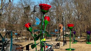 Włocławek: Świetlna atrakcja zmieniła lokalizację. Po zmroku park rozbłyśnie kolorami