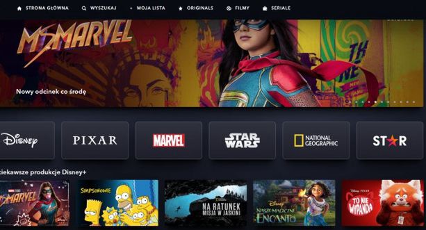 Disney+ z lepszym startem od HBO Max. Prawie 2 mln widzów w pierwszym tygodniu