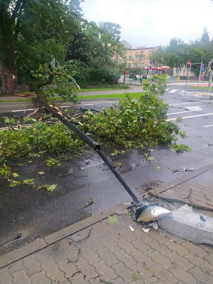 Latarnia uszkodzona przez powalone drzewo