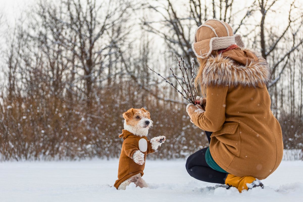 Dzięki tym sposobom twój pies nie odczuje mocno zimy.