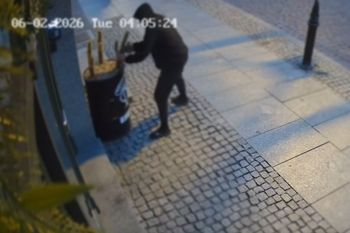 Walka z kaktusem o 4 rano. "Co trzeba mieć w głowie?" Nagranie z Torunia