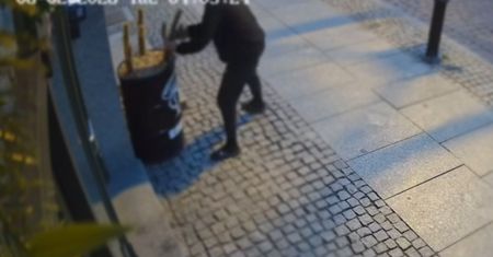 Walka z kaktusem o 4 rano. "Co trzeba mieć w głowie?" Nagranie z Torunia