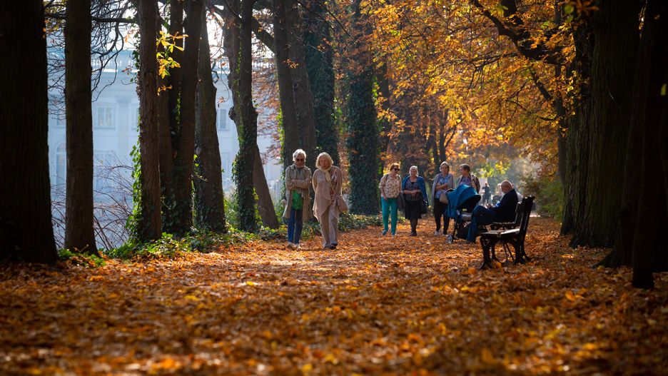 Jesien w Lazienkach Krolewskich. Warszawa, 22.10.2019