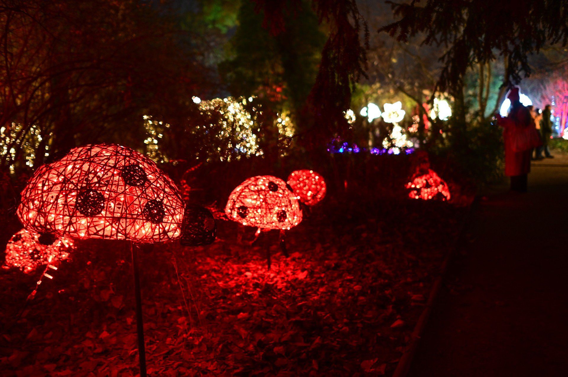 Magiczny Botaniczny powrócił w wielkim stylu