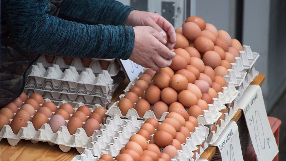 Na cenę jajek wpływ ma m.in. ptasia grypa