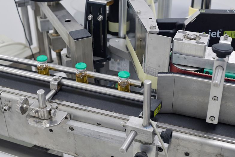 Kury, które ratują nasze życie