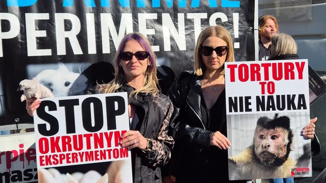 Nie dla torturowania zwierząt w imię nauki!
