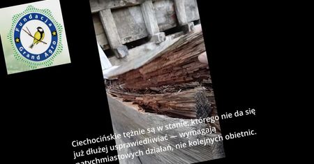 "Ekolodzy" zaangażowani w referendum niszczyli ciechocińskie tężnie! [śledztwo dziennikarskie]