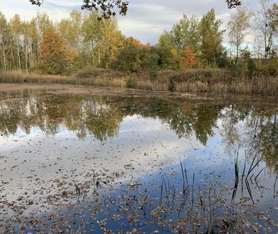 Wracał do domu. Młody mężczyzna nie żyje