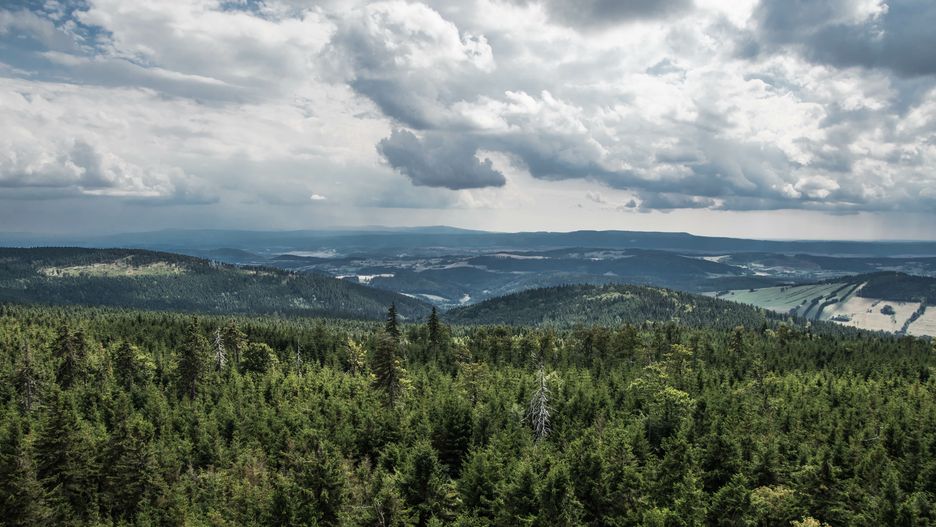 Widok z wieży na Wielkiej Sowie 