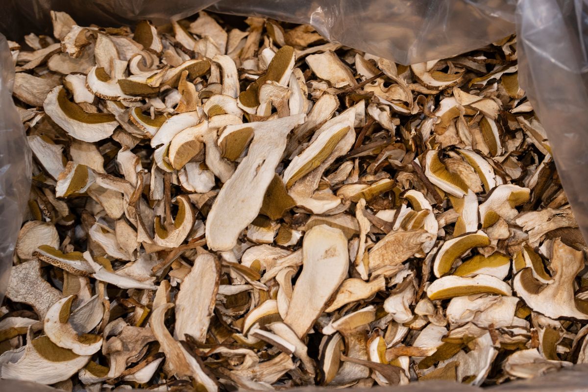 Najgorszy i najczęstszy błąd przy suszonych grzybach. To dlatego farsz wychodzi gorzki