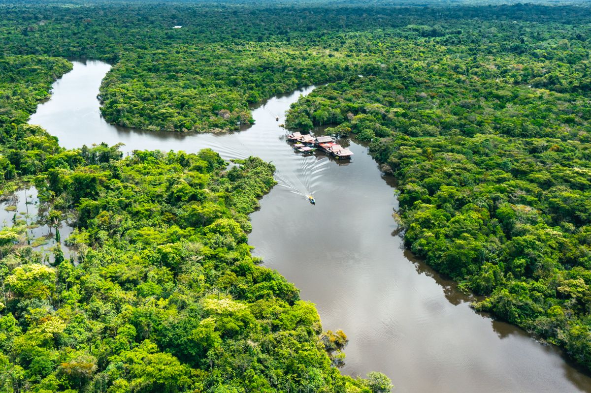 Uncovering nature's secrets: 27 new species in Peruvian Amazon