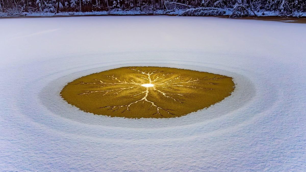 Leśnicy pokazali zdjęcie jeziora. Widok robi wrażenie