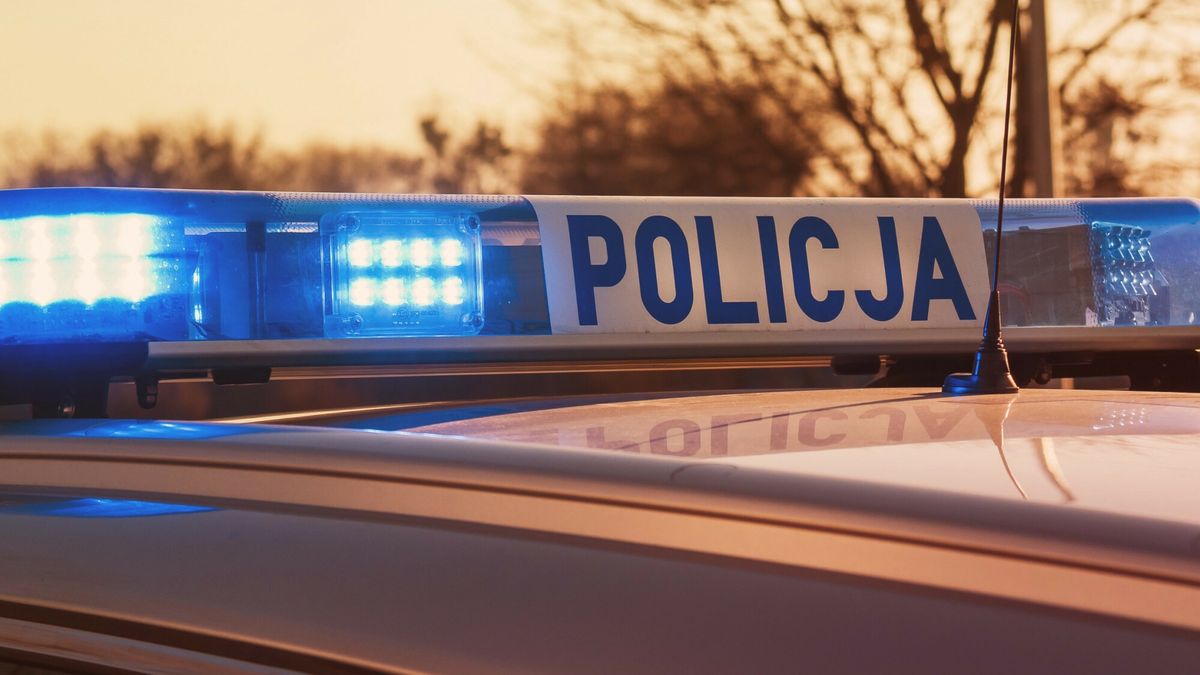 Reporter archiwum 2025 03
24.03.2025  N/z radiowoz na sygnale   fot. Stanislaw Bielski/REPORTER
Stanislaw Bielski/REPORTER