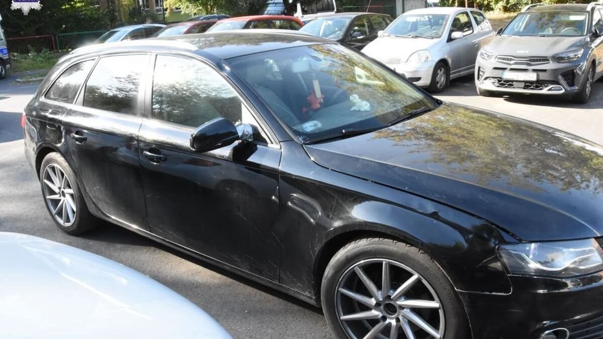 Kierowca audi potrącił kobietę na przejściu dla pieszych na ul, Herberta i uciekł
