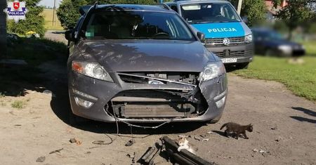 Psy sąsiada zniszczyły samochód. Wszystko przez kota, który ukrył się pod maską