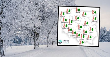 Jaka będzie zima 2024/2025? Prognoza pogody IMGW