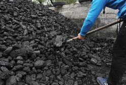 Węgiel nie musi truć Polaków. Jaka jest alternatywa?