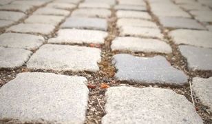 Były związkowiec z PKP Cargo skazany za wyłudzenie kostki brukowej