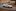 Lexus LS460, LS460 F-Sport oraz LS600h L [galeria]