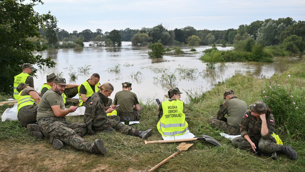 Resort obrony chce wspierać przedsiębiorców, którzy zatrudniają żołnierzy WOT
