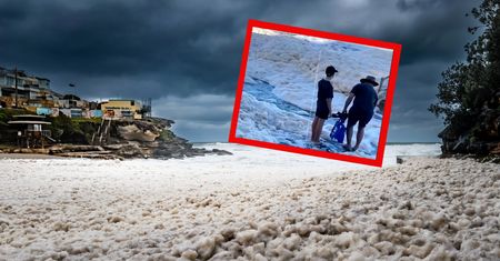 To nie śnieg. Niebywałe zjawisko na plaży w Australii