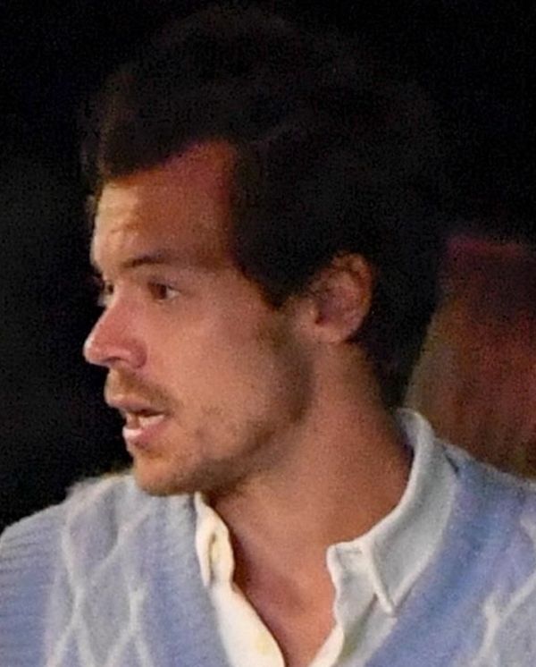 Olivia Wilde i Harry Styles