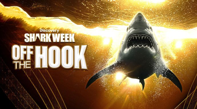 Shark week: Najlepsze momenty