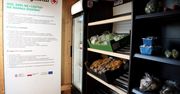 Po świętach nie marnuj jedzenia. Jadłodzielnia PCK w Lublinie czeka