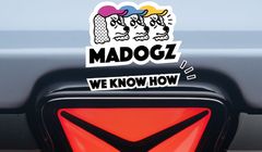 Nowa marka chińskich aut zadebiutuje w Polsce. Zatrudnia agencję Madogz