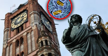W Toruniu kilkadziesiąt przypadków. Pierwsze objawy po 6-72 godzinach