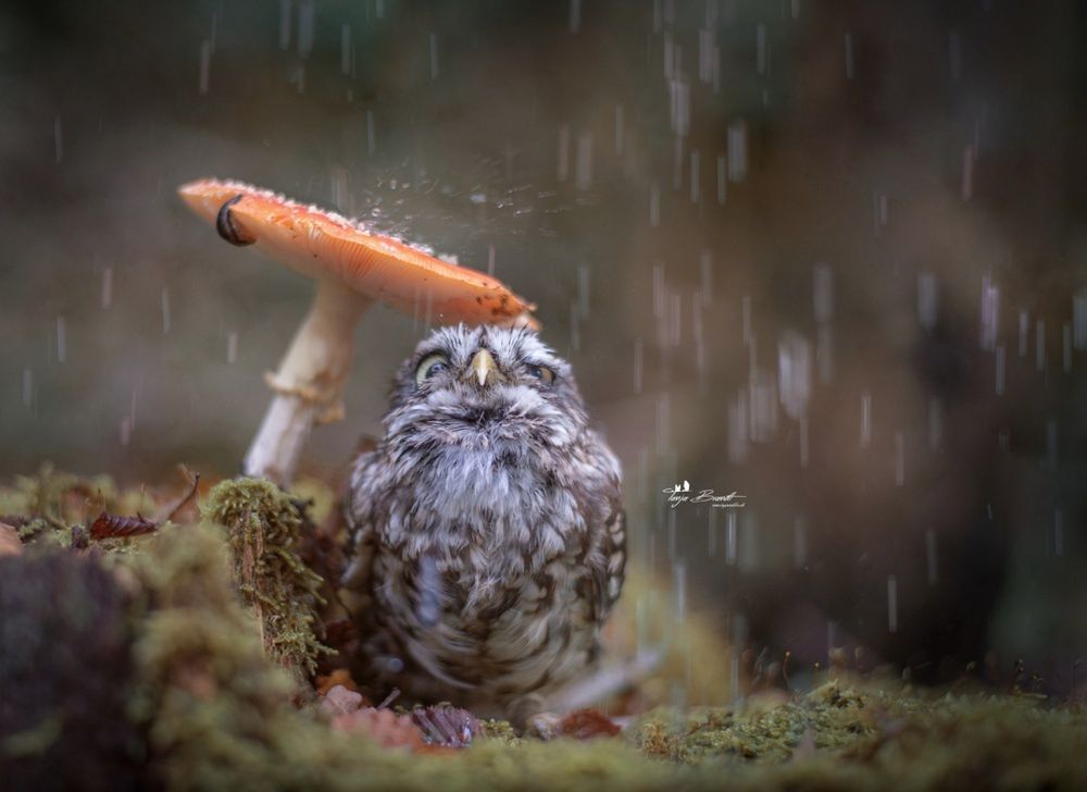 Nie uwierzycie, że te zdjęcia powstały bez pomocy Photoshopa 27