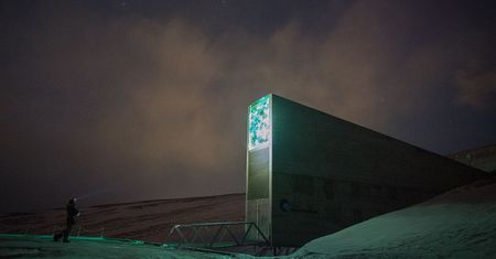 Kod z GitHuba wśród setek tysięcy nasion. Trafił do "krypty zagłady" na Spitsbergen