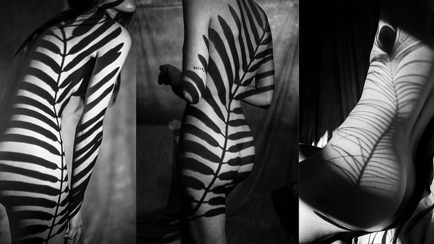 Kobieca subtelność skryta w cieniach kwiatów 1