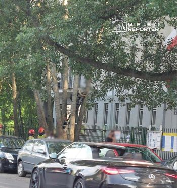 Warszawa: Obcokrajowiec wszedł na drzewo przed urzędem do Spraw Cudzoziemców. Interweniowały służby