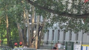 Warszawa: Obcokrajowiec wszedł na drzewo przed urzędem do Spraw Cudzoziemców. Interweniowały służby