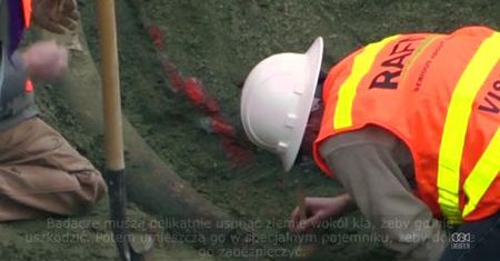 Szczątki mamuta przez przypadek odkryte na placu budowy