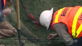 Szczątki mamuta przez przypadek odkryte na placu budowy