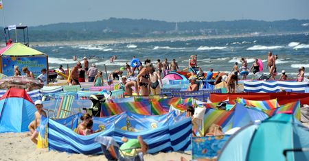 Uciążliwa plaga nad Bałtykiem. "Przylatują też z Niemiec"