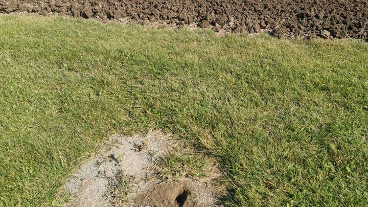 Materiały prasowe / Stal Gorzów / Na zdjęciu: tor Włókniarza 21 sierpnia przed meczem ze Stalą Gorzów (fot. Facebook Stali Gorzów)