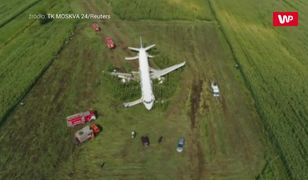 Cud w kukurydzy. Nagrania pasażerów