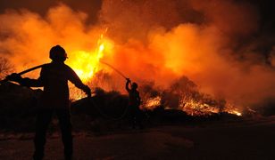 Koniec świata coraz bliżej? Naukowcy mówią o "niewyobrażalnym cierpieniu"