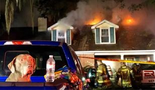 Pies uratował pięcioosobową rodzinę z pożaru