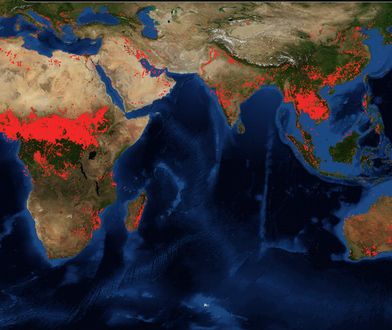 Zdjęcie satelitarne przedstawiające miejsca występowania pożarów