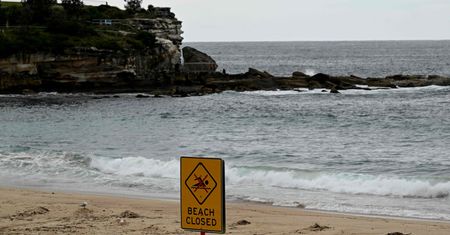 Słynna australijska plaża zamknięta. Powodem tajemnicze czarne kule