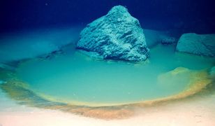 Ukryte na dnie Morza Czerwonego. Śmiertelne skutki przebywania w ich pobliżu