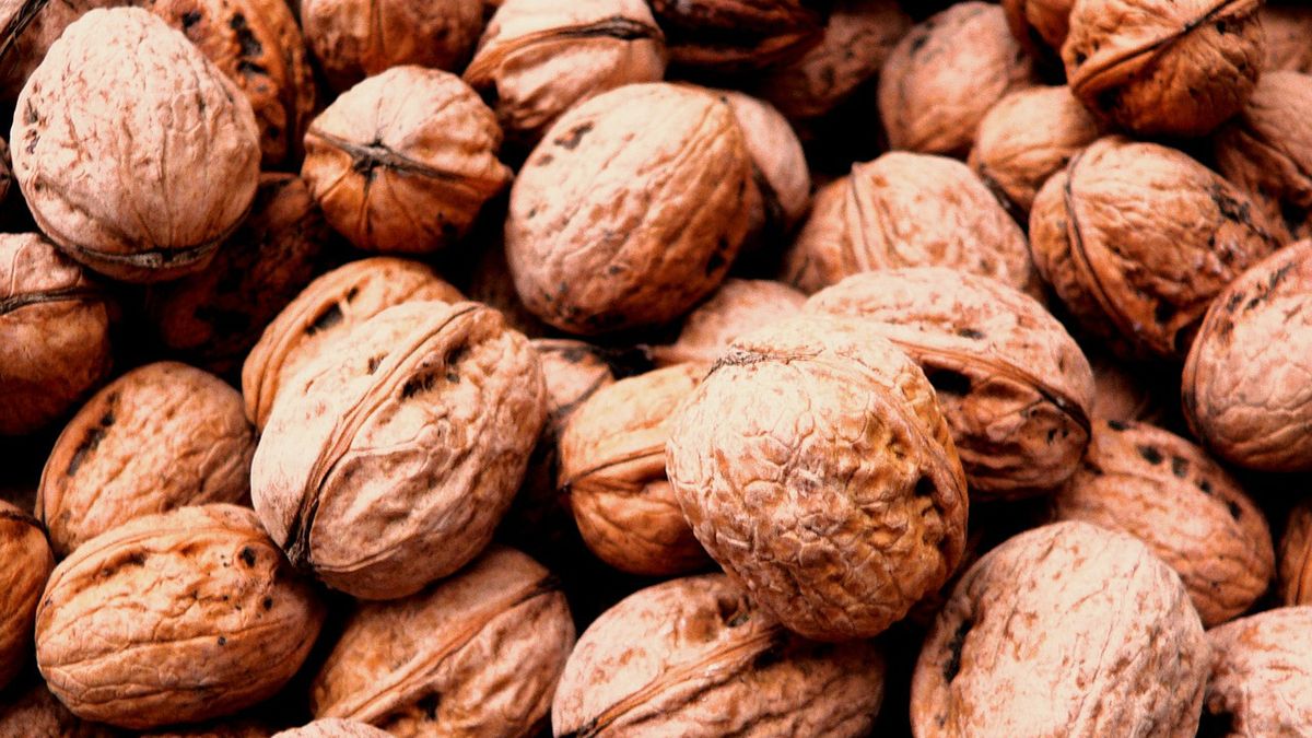 Orzechy włoskie to źrodło wielu cennych składników odżywczych.