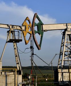 Rosyjska ropa płynie do Niemiec przez Indie. Dwunastokrotny wzrost