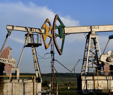 Rosyjska ropa płynie do Niemiec przez Indie. Dwunastokrotny wzrost