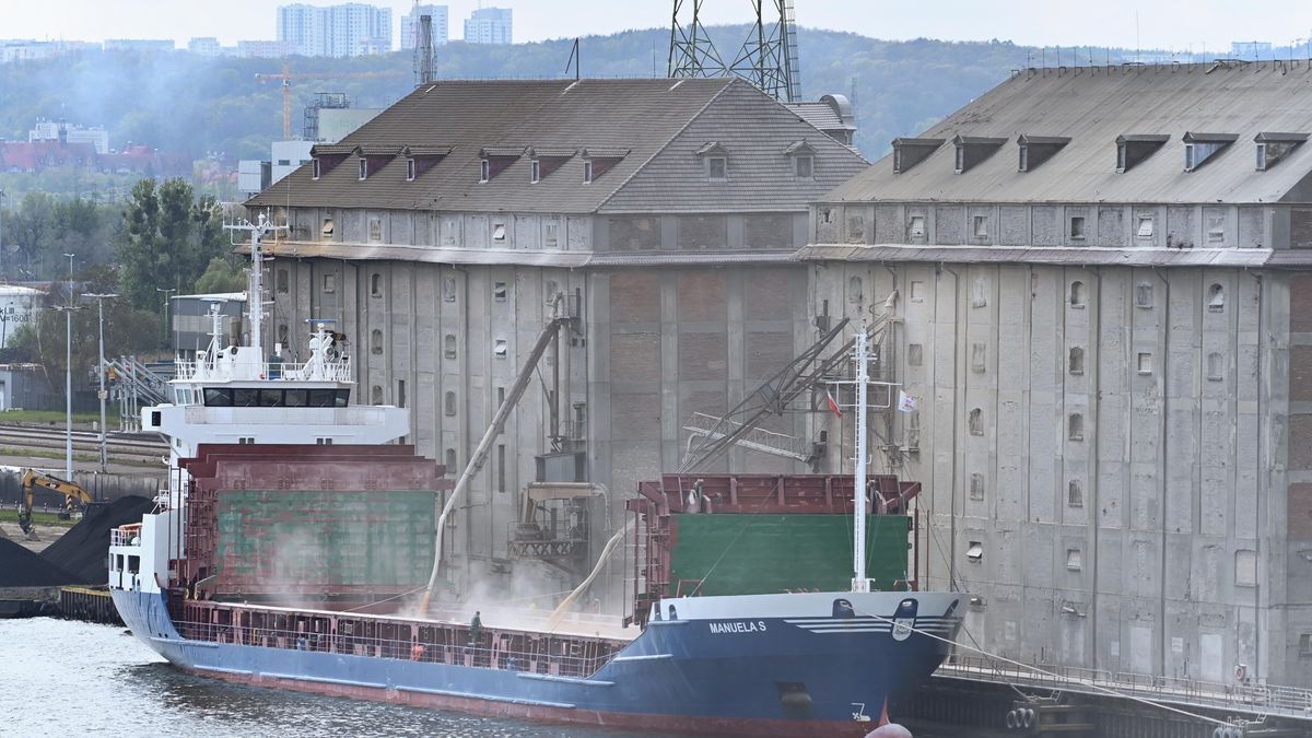 Na zdjęciu załadunek zboża przy nabrzeżu zbożowym w Gdańsku